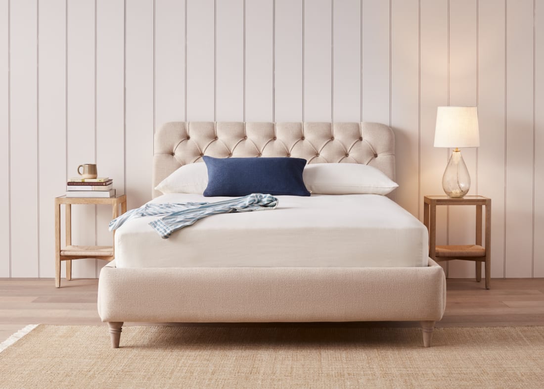 Lit Bedlington - Image 7