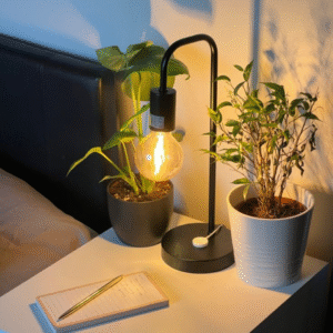 Lampe industrielle noire avec ampoule Edison
